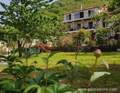 Apartments &quot;Đule&quot; Morinj, private accommodation in city Morinj, Montenegro - Dvoriste (9)